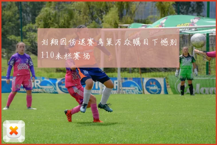 刘翔因伤退赛鸟巢万众瞩目下憾别110米栏赛场