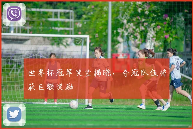 世界杯冠军奖金揭晓,夺冠队伍将获巨额奖励