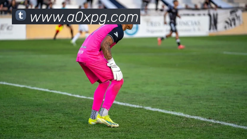 2002男篮世锦赛美国队无缘四强阿根廷塞尔维亚强势争冠焦点十足